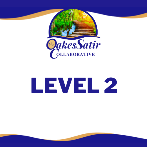 Virginia Satir Level 2